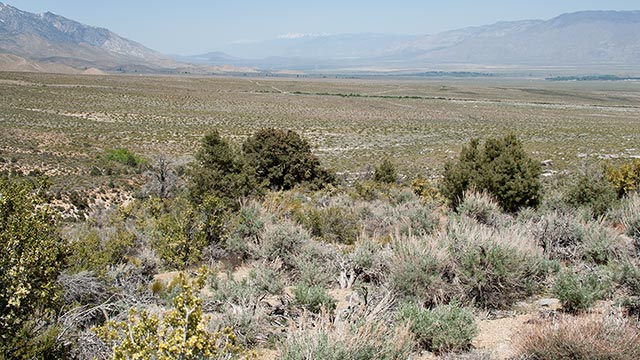 Owens Valley