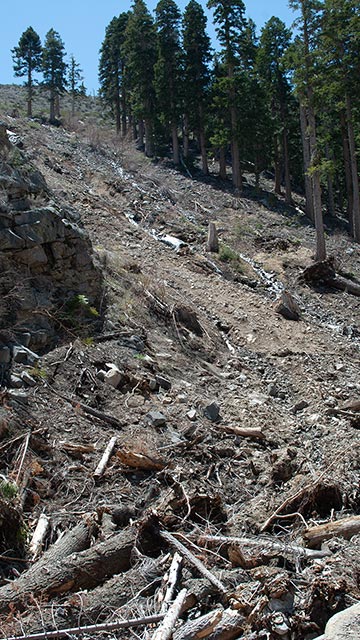 Avalanche Path