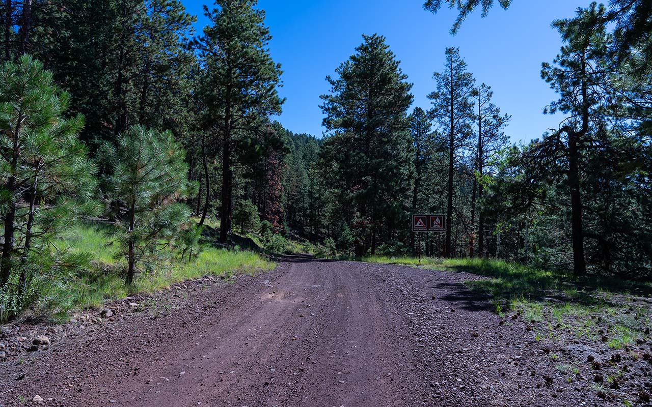 San Francisco Peaks -- Freidlein Prairie Road