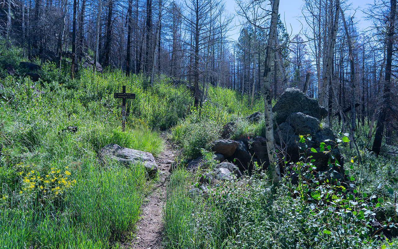 Approaching Weatherford Trail