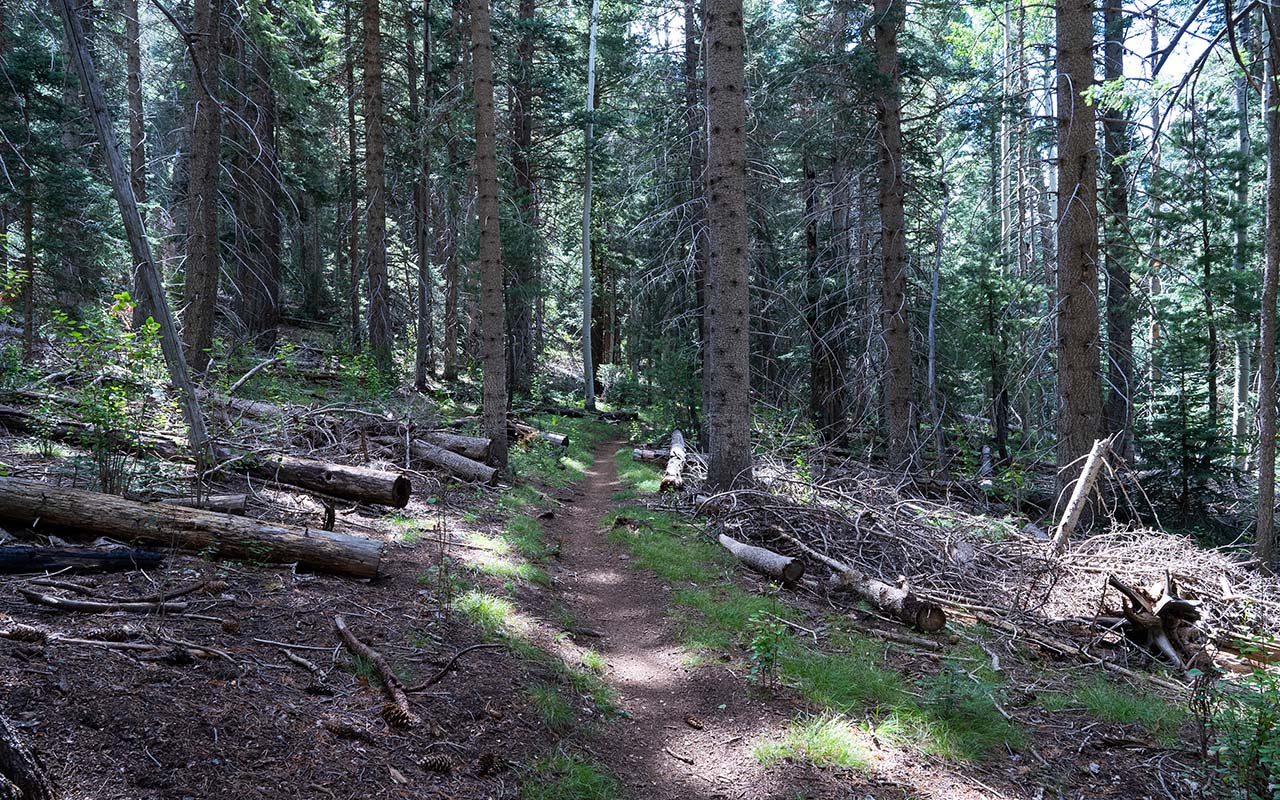 The Arizona Trail