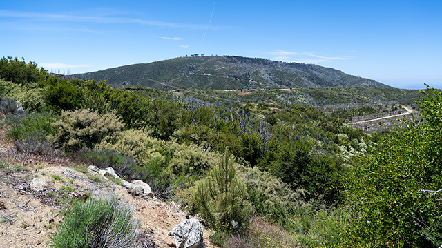 Mount Gleason, in the San Gabriel Mountains
