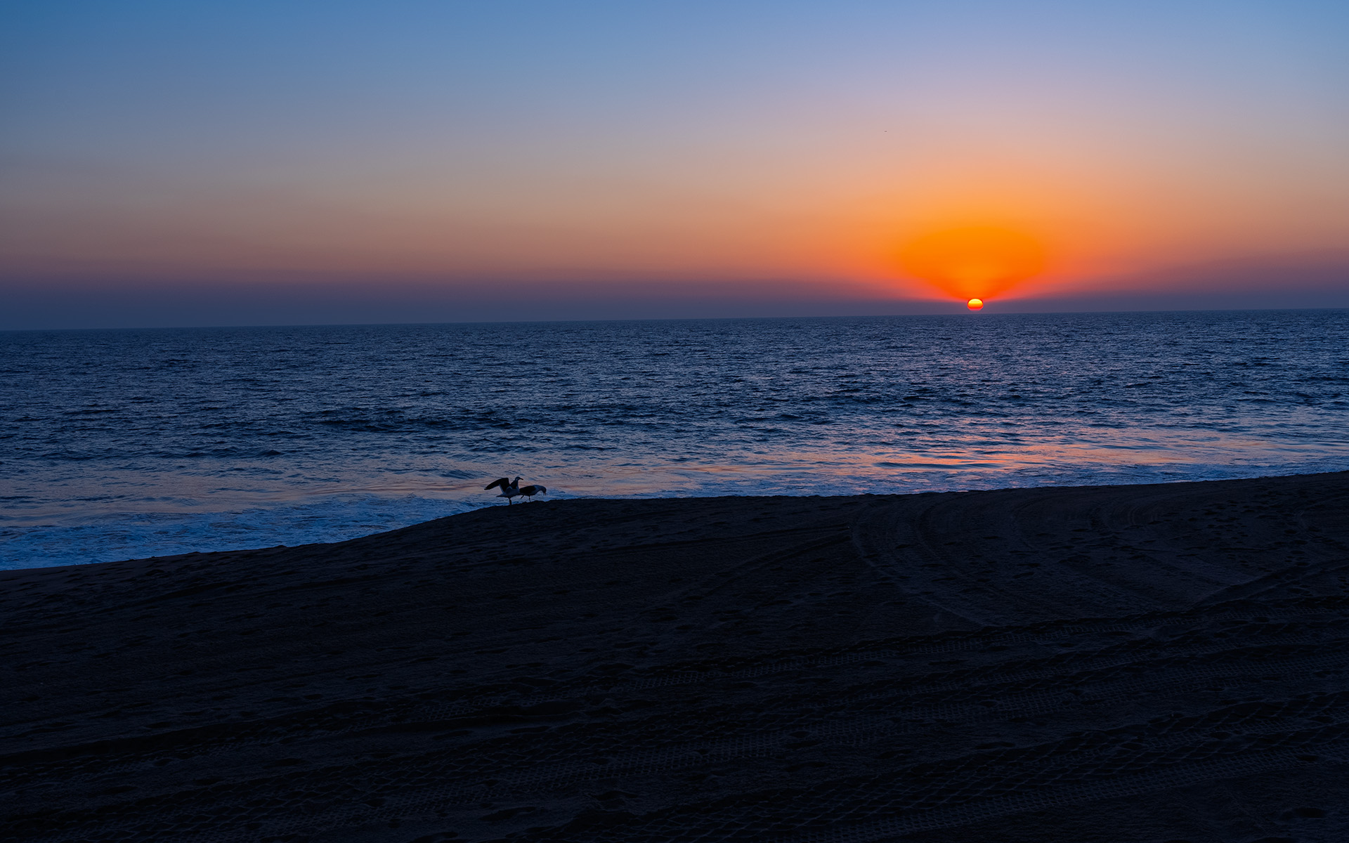 Sea Gulls and Sunset, Will Rogers State Beach