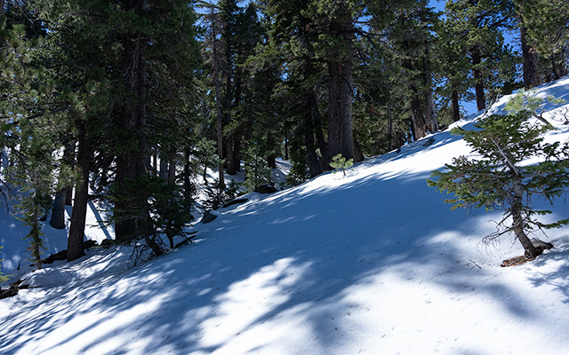 October snowpack on the north side of Throop Peak, California